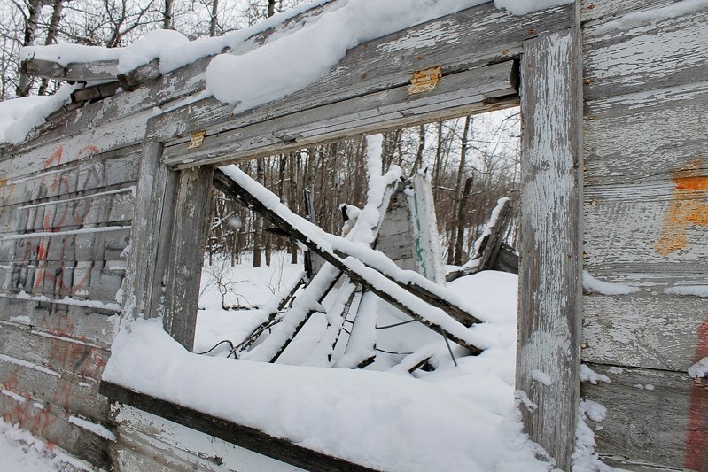 Seasonal snow that fell blanketed Innisfail and the region two week ago rests on fallen timbers at a decaying shack on Highway 54 west of Innisfail