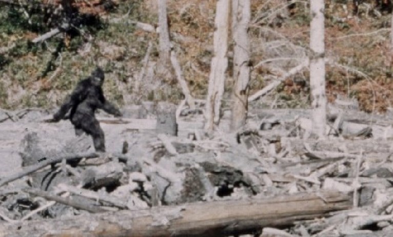 Still captured from the 1967 Patterson/Gimlin Sasquatch sighing in California which ignited interested in Squatching worldwide.