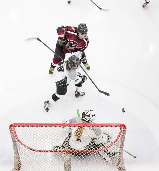 The Penhold Amazons registered their second straight shutout with a 2-0 victory over the visiting Sherwood Park Steele on Nov. 29.