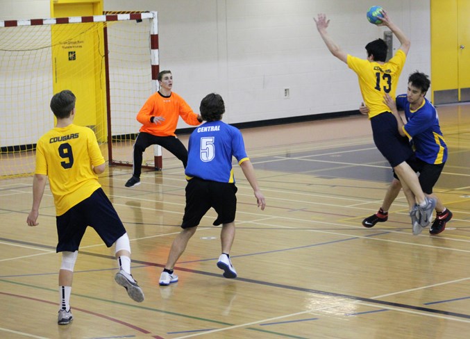 Web Handball