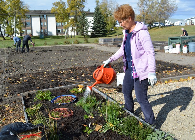 Community Garden WEB