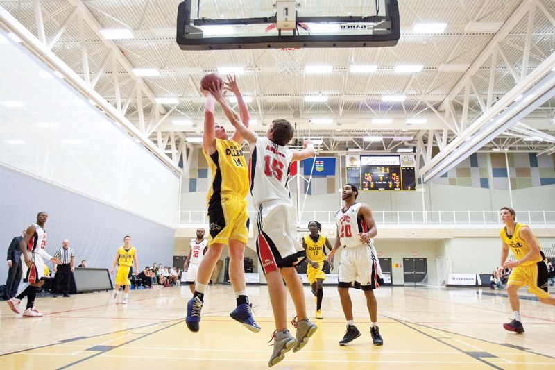 Olds College Broncos player Brayden Ostermann goes in for a lay-up against a CUC Aurora player during their game at the Ralph Klein Centre last Thursday.