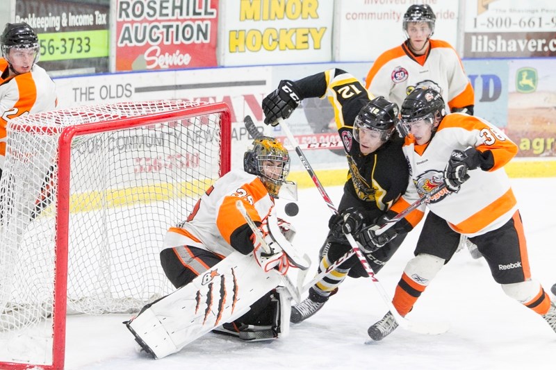 Olds Grizzlys player Kyle Moore attempts to score against Drumheller Dragons netminder Curtis Skip during their game on Jan. 4 in Olds. The Grizzlys won the game 4-3.