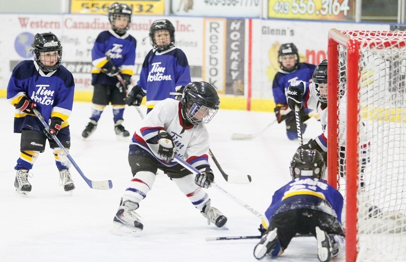 An Olds Grizzlys Tyke 3 player scores on an Okotoks Blues player during their game at the Olds Sports Complex on Feb. 9. CLICK ON PHOTO FOR LARGER IMAGE