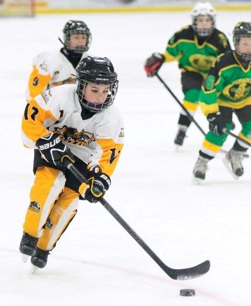 Olds Grizzlys novice A player Owen Callow guides the puck into the Okotoks Oilers novice team&#8217;s zone during Game 1 of the teams&#8217; best-of-three series to determine 