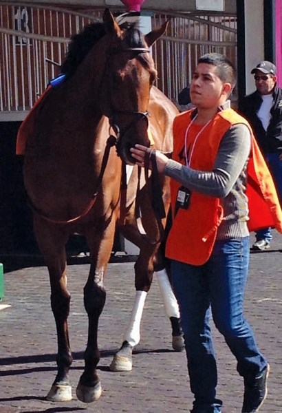 Brazen Persuasion, a three-year-old thoroughbred filly owned by Julie Brewster of Bowden seen here with an unidentified groom, won a race at Churchill Downs the day before