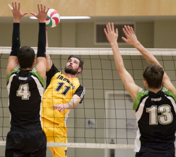 Olds College Broncos varsity volleyball player Dylan White spikes the ball during the Broncos game against the Lethbridge College Kodiaks at Olds College on Nov. 1.