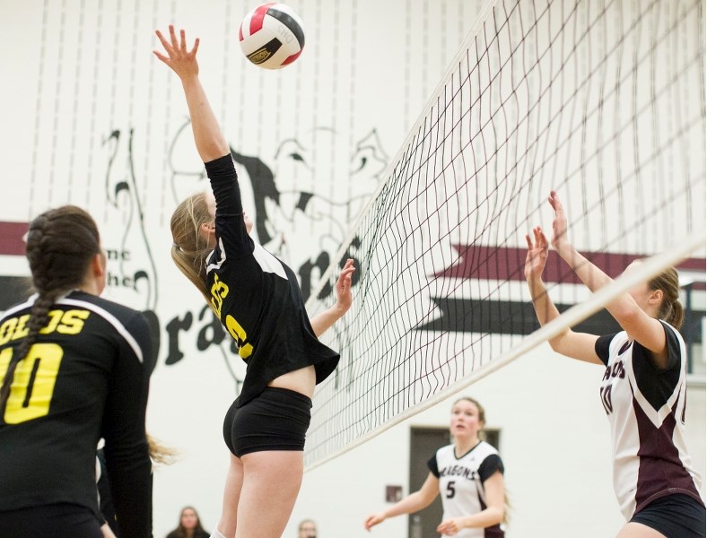 Olds High School Spartans senior volleyball player Rachel Odersky spikes the ball during the Spartans&#8217; Chinook&#8217;s Edge Athletic Association championship game