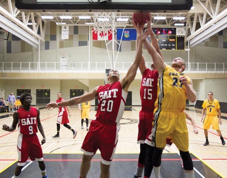 Olds College Broncos varsity basketball player Kyle Huffman fights for possession of the ball during the Broncos&#8217; game against the SAIT Trojans at Olds College on Nov.
