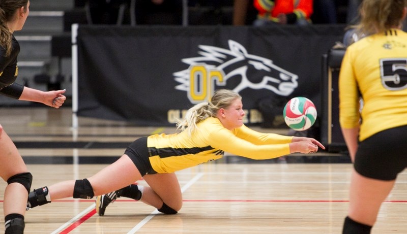 Olds College Broncos volleyball player Kennedy Menzies dives for the ball during the Broncos&#8217; game against the Briercrest College Clippers at Olds College on Nov. 28.