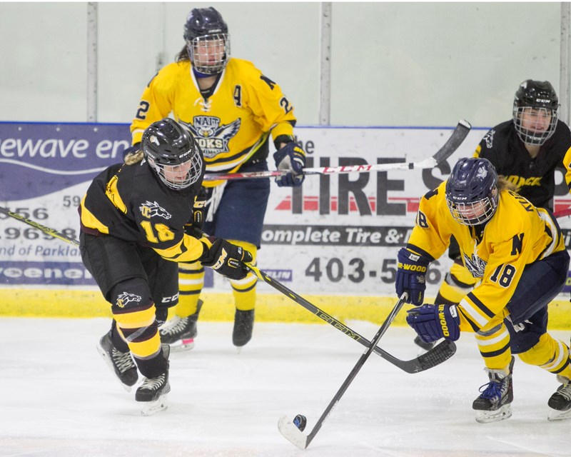 Olds College Broncos women&#8217;s hockey player Jordan Kosinsky fights for possession of the puck with a NAIT Ooks player