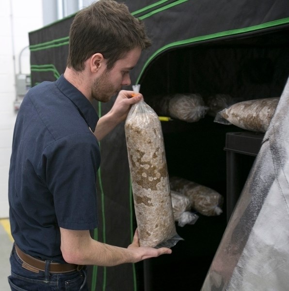 Olds College student Alex Villeneuve returns a sample of spent grain at the Bio Industry Resource Centre.