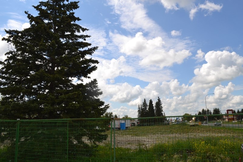 A look at the site for Dr. Gibb Fitzner&#8217;s new dental building. At left is the tree Fitzner plans to save. He also plans to use a picture of the tree in the new logo for 