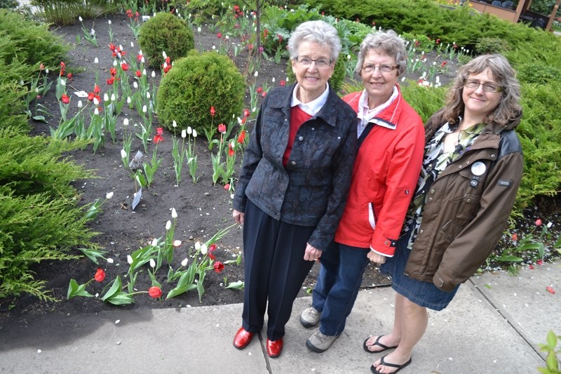 Tulips planted by the Olds Hospital Ladies Auxiliary to help celebrate Canada&#8217;s 150 birthday this year are now in full bloom.