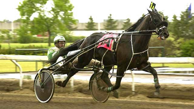 Clintons Cigar, pictured here racing in Edmonton in 2000, was killed at Olds College in September after a person or persons opened the school&#8217;s equine science