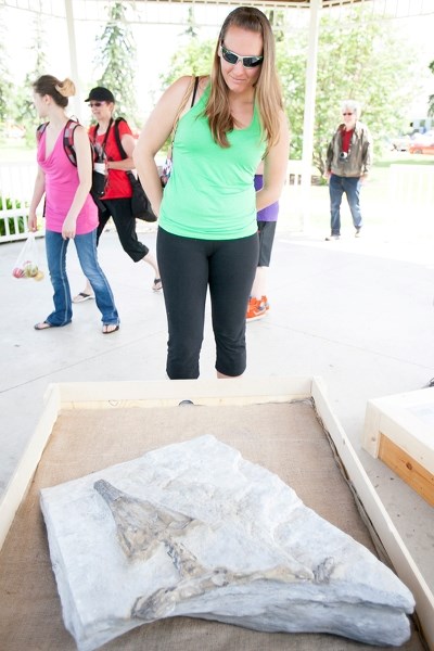Caitlin Hevey of Calgary checks out a simoedosaurus fossil discovered at Olds College that the Royal Tyrell Museum had on display at Centennial Park on June 22.