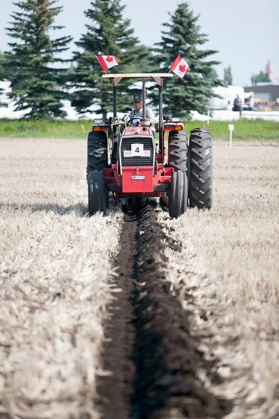 Team Canada conventional plowing competitor Barry Timbers of Ontario plows his opening split in the stubble plowing component of the 60th World Plowing Championship held just 