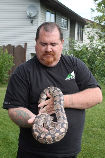 Dean Harper, owner of Olds&#8217; Wrappin About Reptiles program, holds up a ball python that was discovered in the parking lot of the Quiznos Sandwich Restaurant on Aug. 4.
