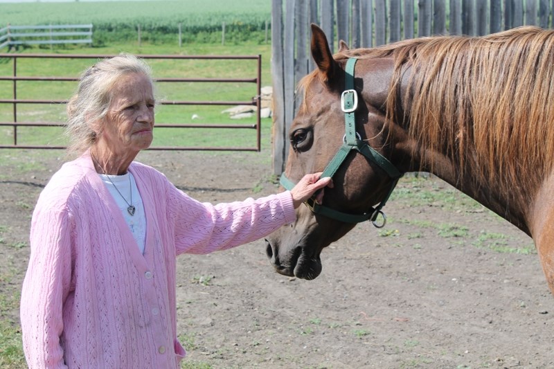 Shirley Y. Zimmerman stands with The General, one of three horses that wandered off her property onto Highway 27 on the evening of Aug. 15. One of The General&#8217;s