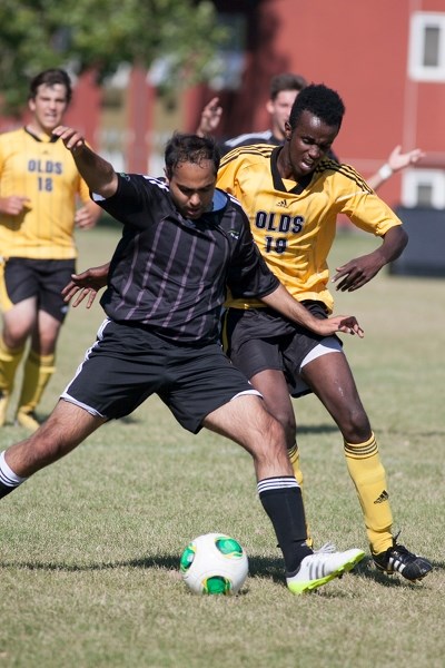 Olds College Broncos player Mahad Mohamed fights for possession of the ball with a Red Deer College Kings player during their game at Olds College on Sept. 15.