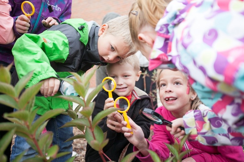 Olds Elementary School students from left Jackson Gawiuk, Leyton Fazakas and Ashlyn Ord use magnifying glasses to study foliage in a new garden in front of the school on