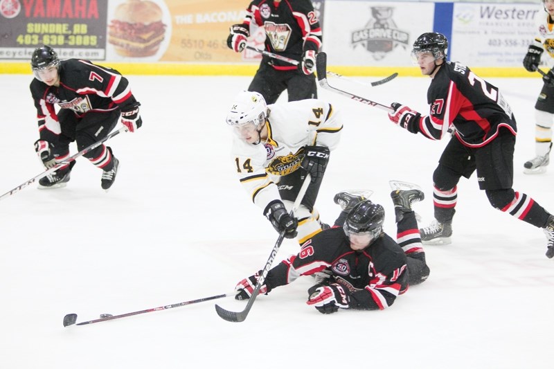 Olds Grizzlys player Matt Leuken attempts to get past a Camrose Kodiaks player during their game at the Olds Sports Complex on Nov. 5. The Grizzlys won the game 2-1 in