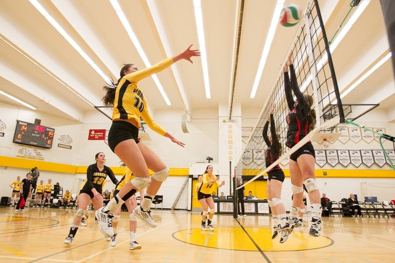 Olds College Broncos player Mikaela Pusher spikes the ball during the Broncos&#8217; game against the Augustana Vikings at Frank Grisdale Hall on Nov. 30.