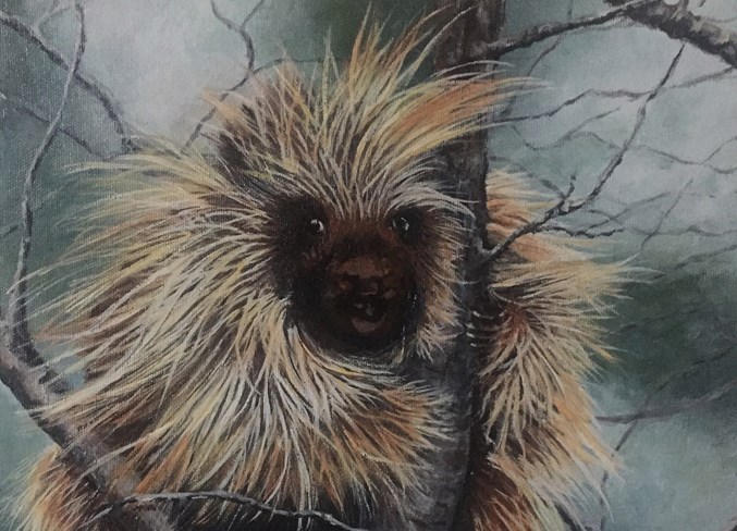 WebPaulineThePorcupine
