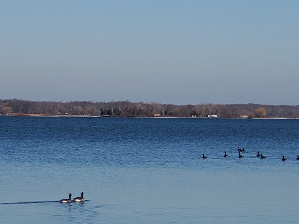 2021-01-15 Lake Simcoe Chippewas ASH-1