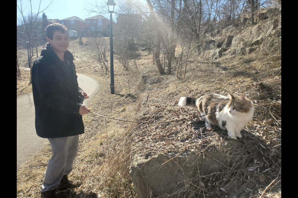 Addison Welch walking his cat Zyra , who is an Instagram adventure cat @TheAdventuresOfZyra.