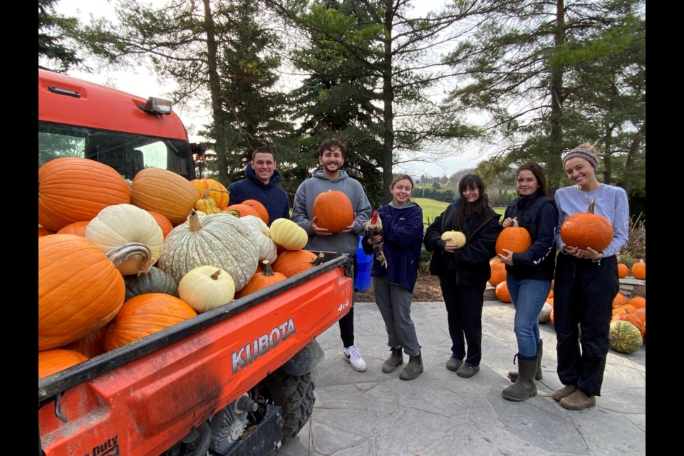 Aryan Sadghian and Sebastian Stanescu donated 3,300 pounds of pumpkins.