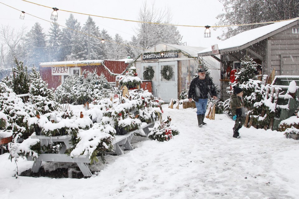 Niemi shop family farm