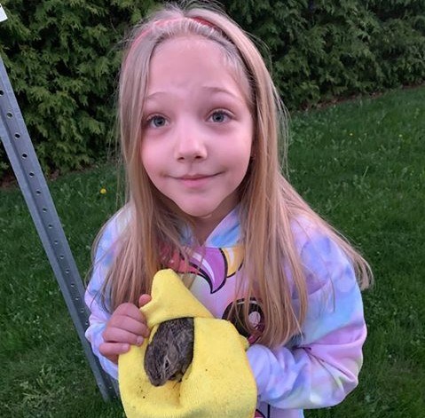 Teia is delighted dad Adrian Morar was able to save a bunny that fell through a storm drain on Primrose Lane in Newmarket. Submitted photo/Adrian Morar 