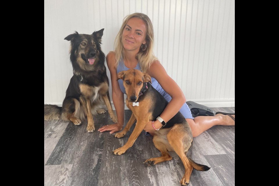 Aurora resident Amanda Gaeta, along with Oakley and Teddy, has spent years fundraising to rescue abandoned dogs in Costa Rica.