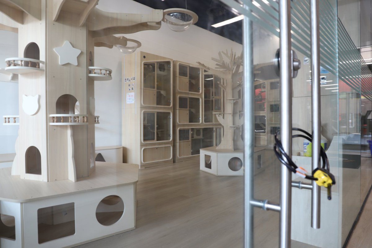 Can influencers be held responsible? Area pet store feels impact of viral accusation