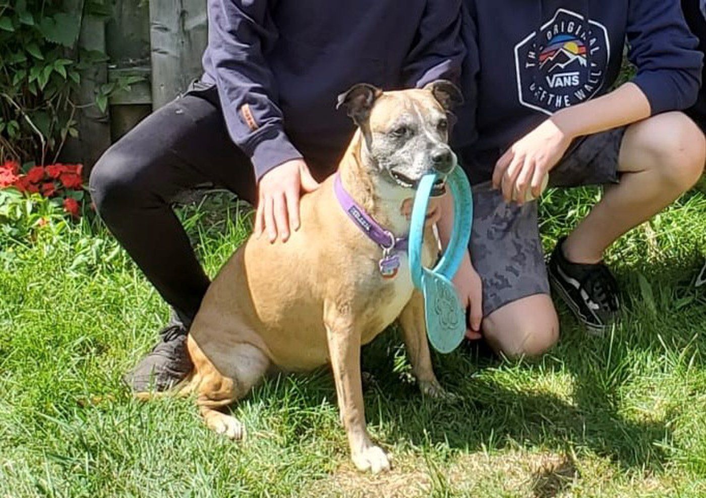 OSPCA matches owners with pets to help reduce need for rehoming