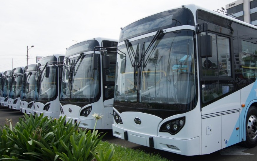 2019 06 25 BYD buses - Edited