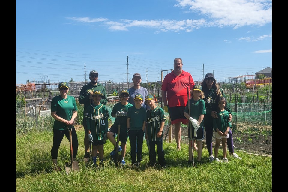 The Newmarket Hawks 10UA baseball team partnered with York Region Food Network in June for a charity gardening event