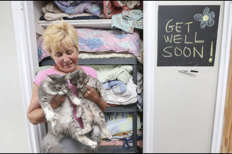 Founder Donna Cox has operated North Toronto Cat Rescue for 34 years.