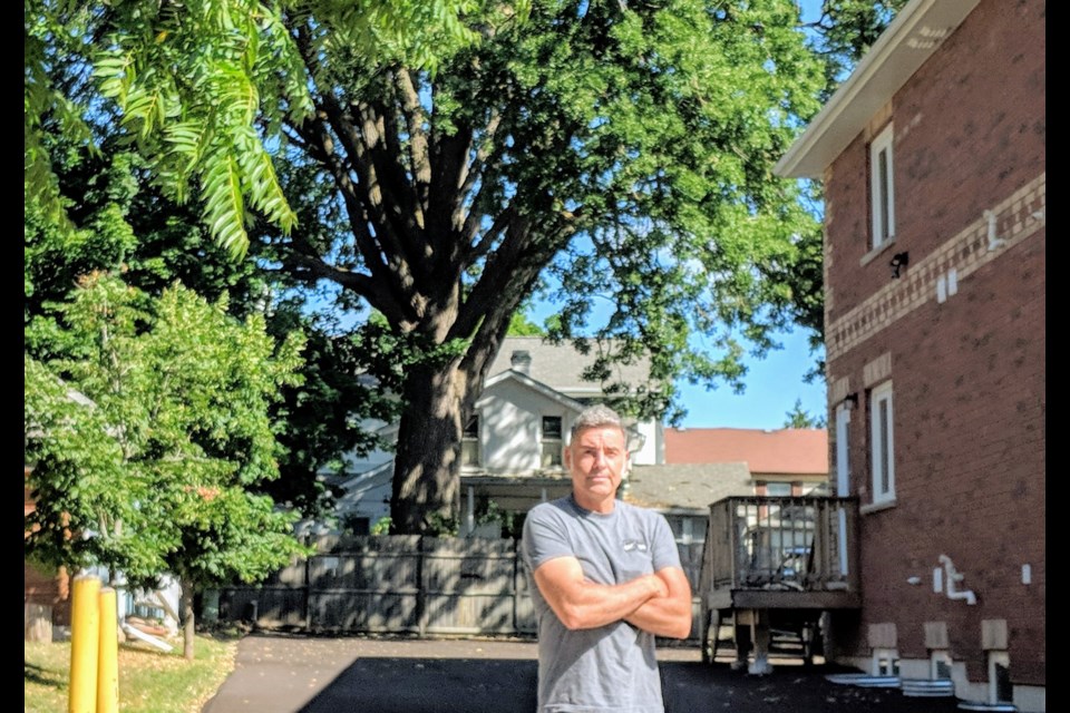 Resident Chris Howie is calling on the Town of Newmarket to protect  the three-centuries old white oak known as the Liberty Tree, whose roots have been paved over to make way for a parking lot. Kim Champion/NewmarketToday