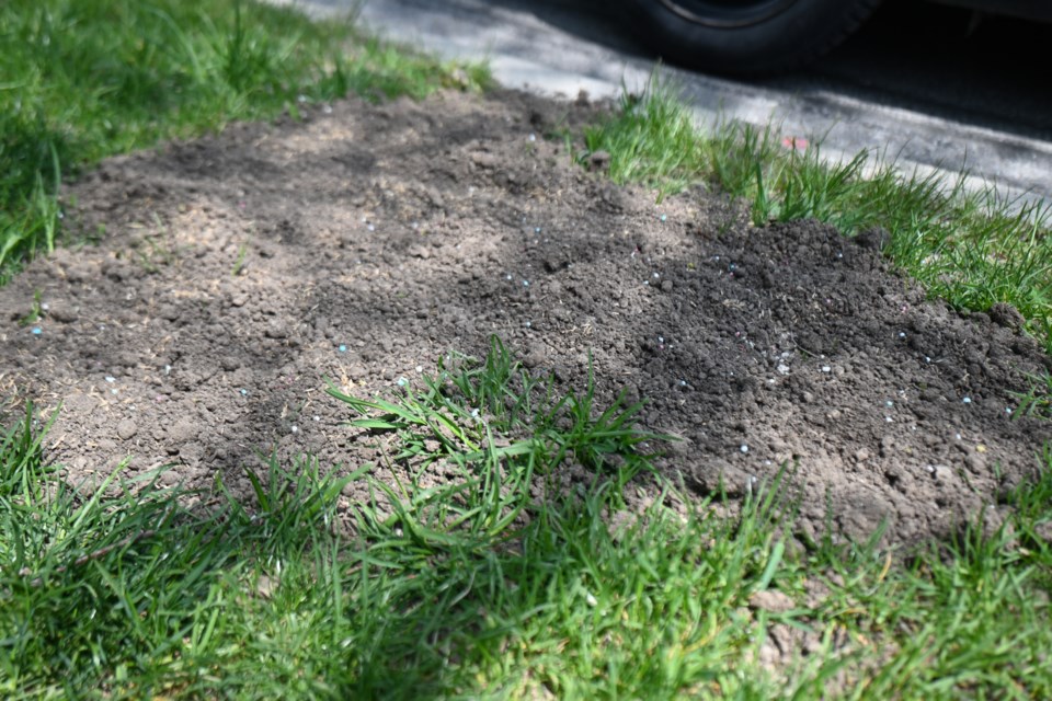 A resident isn't happy with the dirt and seed placed over a hole on her Newmarket curb made by telMax to install fibre lines. 