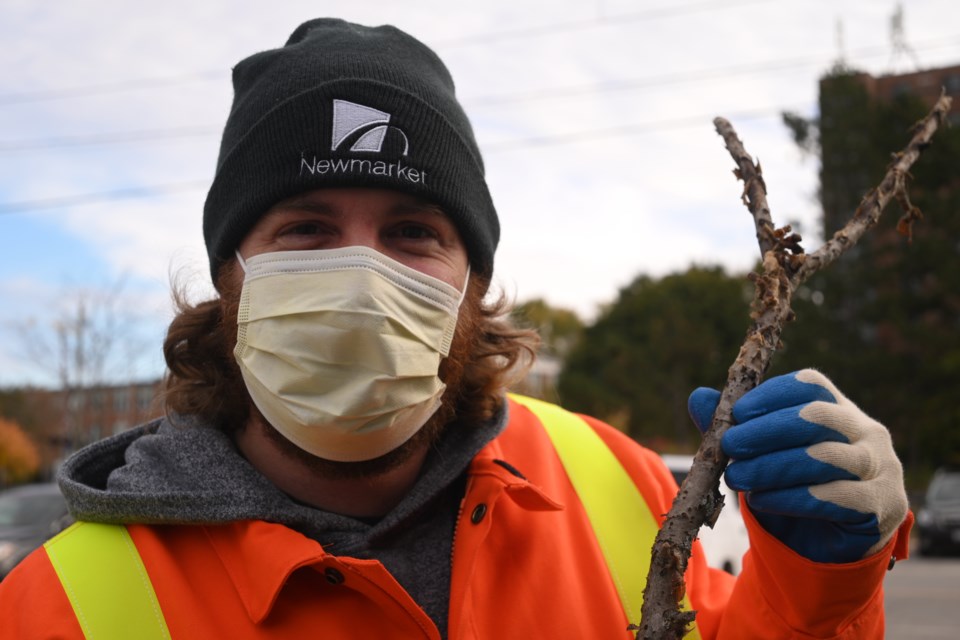 Natural heritage coordinator Tom Longland holds up a branch with LDD moth eggs at a demonstration site Oct. 23. 
