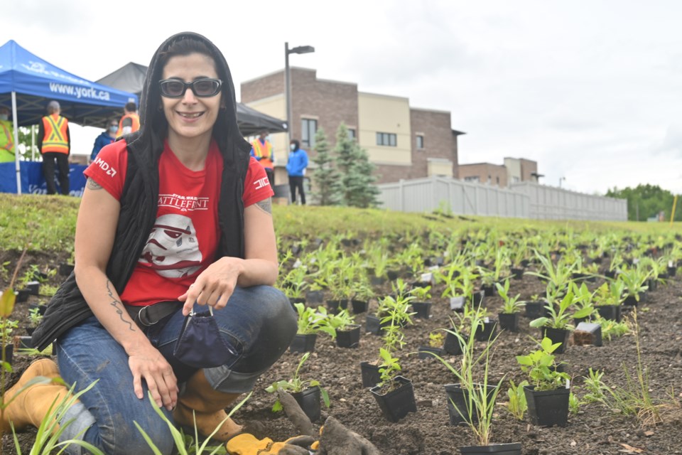 Eva McGean helps out with planting at York Region's new pollinator meadow June 9. 