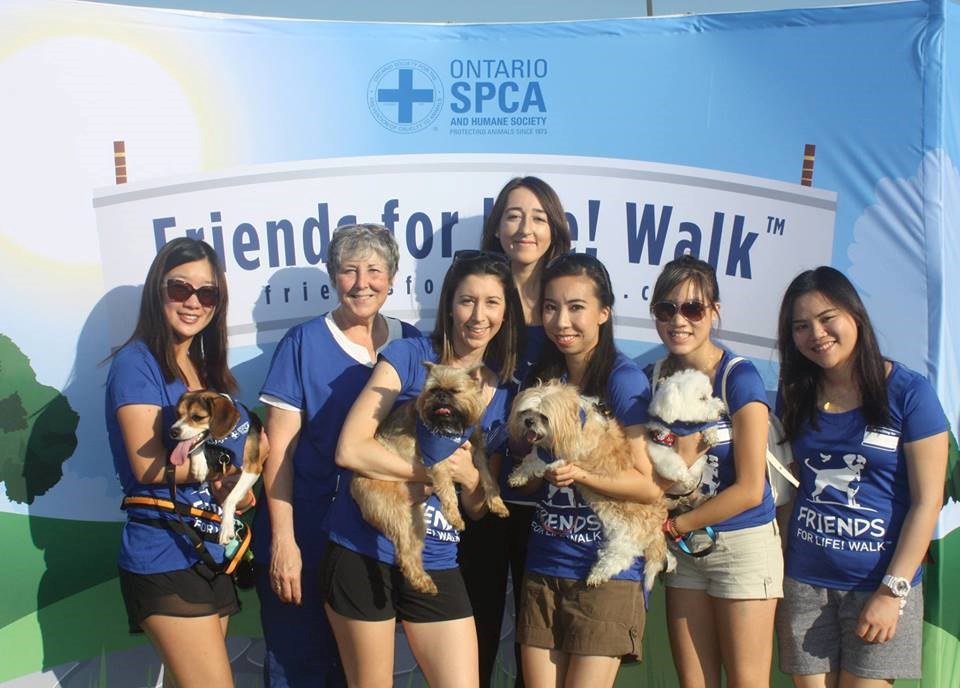 130918friendsforlifewalk