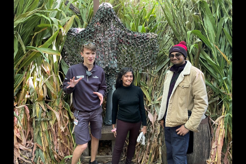 Garet Arsenault, Yesha Bidhadia, and Adrian Ally are getting the Cornstalkers maze ready for Halloween Haunt.