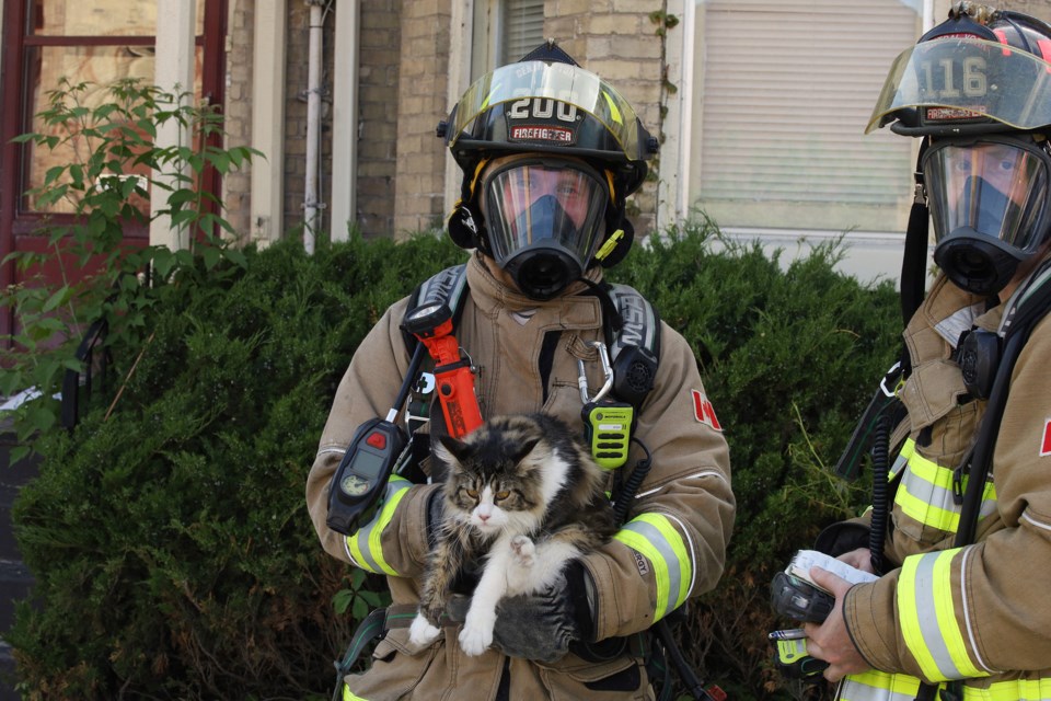 Central York Fire Services firefighter Ben Hawkins found the tenants' missing cat on the third floor of an Eagle Street house after the Saturday afternoon fire was extinguished in the basement apartment in Newmarket.  Greg King for NewmarketToday