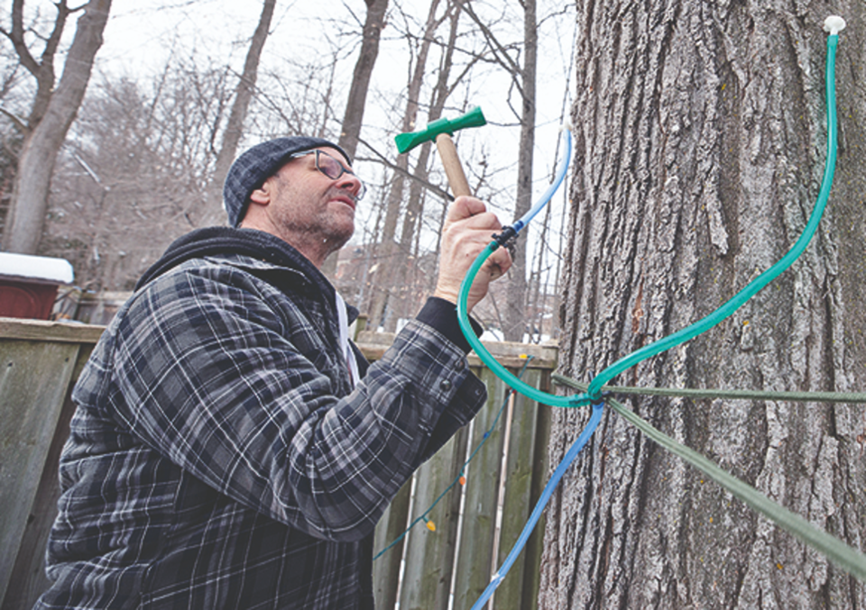 2023-03-17-sugaring-aurora