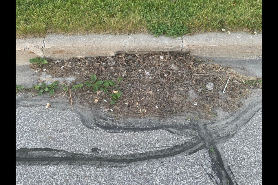 Leaves and debris cover a storm water drain on College Manor Drive in Newmarket in this June 2020 photo. Supplied photo