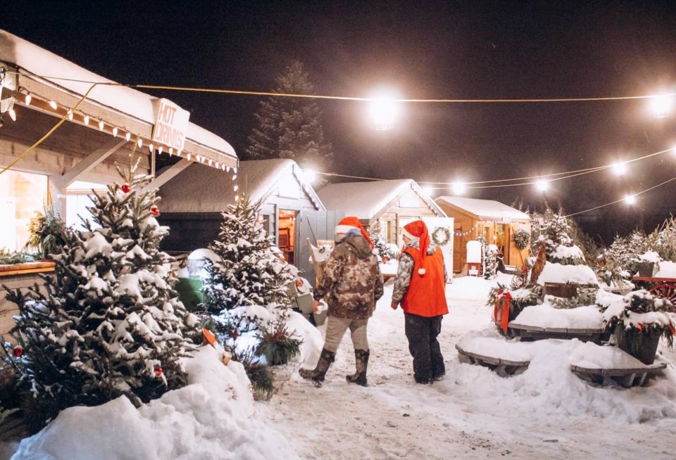 Jingle Bell, New Roots Christmas markets in Newmarket this weekend Newmarket News