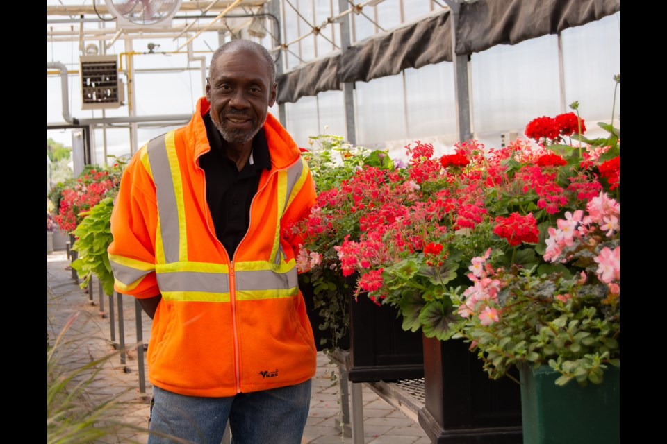 Horticulturist Johnny Dwyer in the Town of Newmarket greenhouse. 